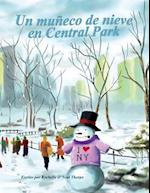 Un Muneco de Nieve En Central Park