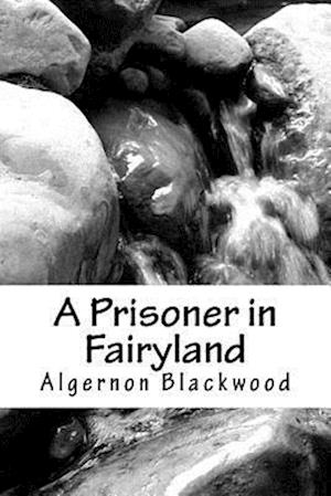 A Prisoner in Fairyland