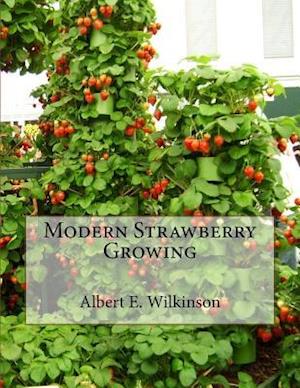 Modern Strawberry Growing