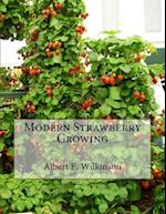 Modern Strawberry Growing