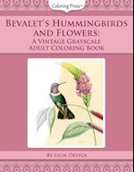Bevalet's Hummingbirds and Flowers