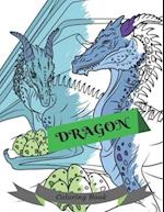 Dragon Coloring Book