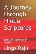 A Journey through Hindu Scriptures: Bhagavad-Gita, Puranas, Manu-smriti, Brahma-sutras, Darshanas, Tantra, and Shivagama 