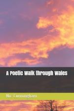 A Poetic Walk though Wales 