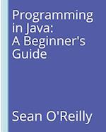 Programming in Java: A Beginner's Guide 