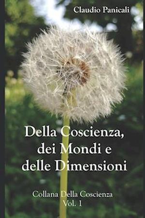 Della Coscienza, dei Mondi e delle Dimensioni