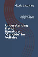 Understanding french literature : "Candide" by Voltaire: Analysis of the key passages of the tale 