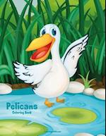 Pelicans Coloring Book 1