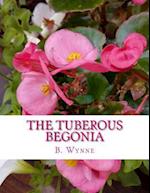 The Tuberous Begonia