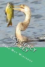 Resiliency Is Key