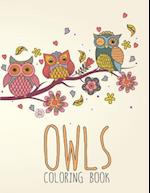 Owls Coloring Book