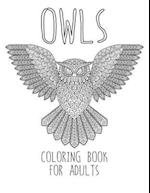 Owls Coloring Book