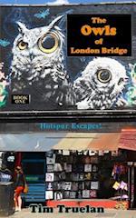 The Owls of London Bridge