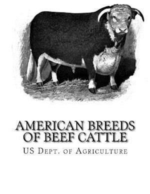 American Breeds of Beef Cattle