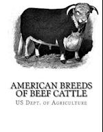 American Breeds of Beef Cattle