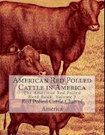 American Red Polled Cattle in America