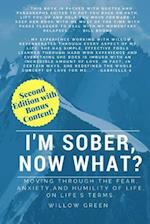 I'm Sober, Now What?