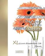 Pratique Dessin [Color] - XL Livre d'exercices 14