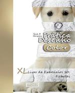 Prática Desenho [color] - XL Livro de Exercícios 10