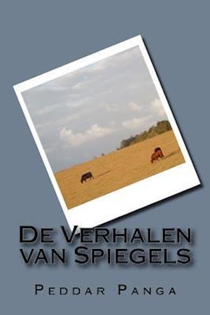 de Verhalen Van Spiegels