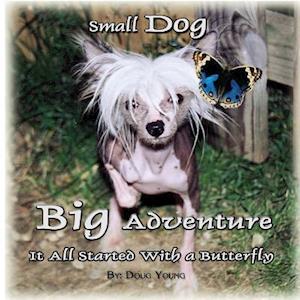 Small Dog - Big Adventure