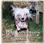 Small Dog - Big Adventure