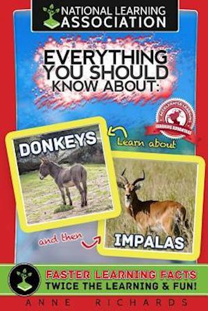 Everything You Should Know about Donkeys and Impalas