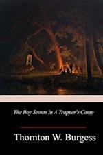 The Boy Scouts in a Trapper's Camp