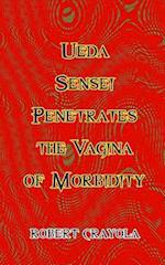 Ueda Sensei Penetrates the Vagina of Morbidity