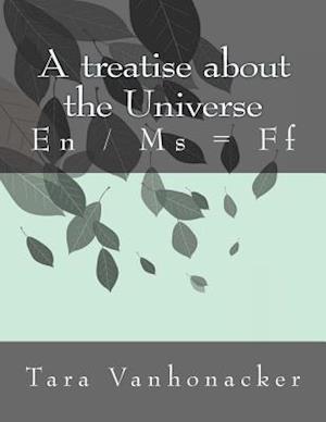 A Treatise about the Universe