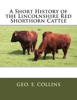 A Short History of the Lincolnshire Red Shorthorn Cattle