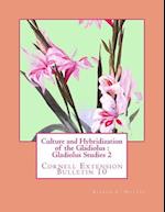 Culture and Hybridization of the Gladiolus