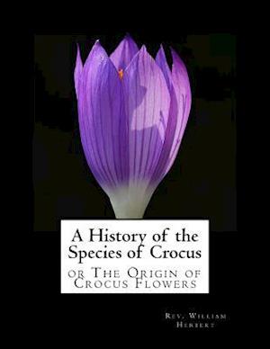 A History of the Species of Crocus