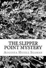 The Slipper Point Mystery