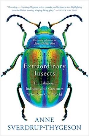 Extraordinary Insects