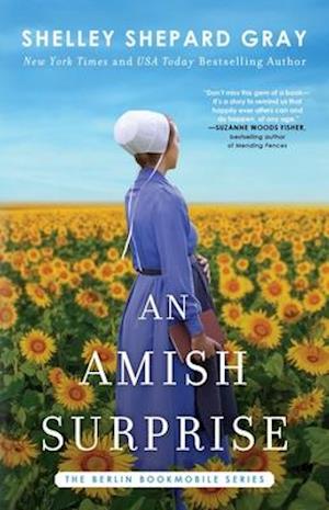 An Amish Surprise, Volume 2