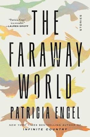 The Faraway World