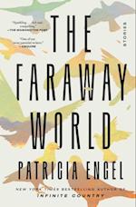 Faraway World