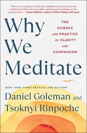 Why We Meditate