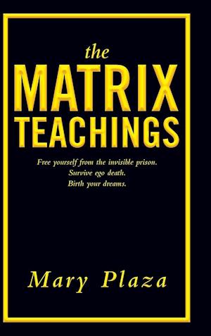 The Matrix Teachings