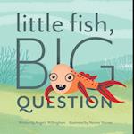 Little Fish, Big Question