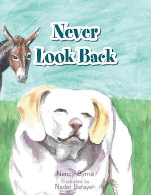 Never Look Back