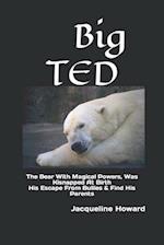 Big Ted