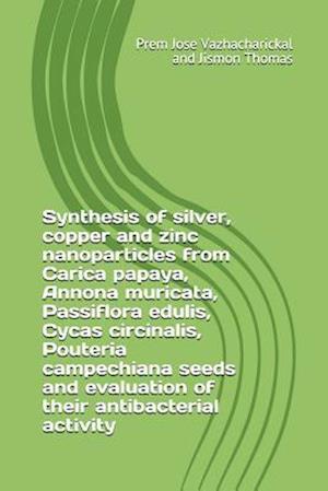 Synthesis of Silver, Copper and Zinc Nanoparticles from Carica Papaya, Annona Muricata, Passiflora Edulis, Cycas Circinalis, Pouteria Campechiana Seed