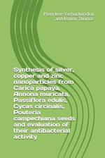 Synthesis of Silver, Copper and Zinc Nanoparticles from Carica Papaya, Annona Muricata, Passiflora Edulis, Cycas Circinalis, Pouteria Campechiana Seed