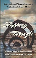 Slipping Through: Journey into different dimensions 