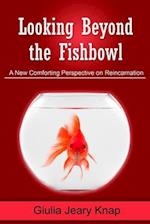 Looking Beyond the Fishbowl