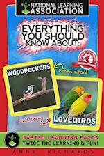 Everything You Should Know about Woodpeckers and Lovebirds