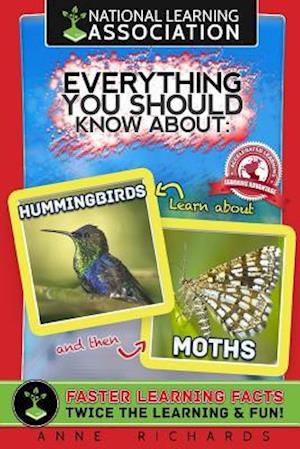 Everything You Should Know about Hummingbirds and Moths