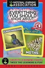 Everything You Should Know about Hummingbirds and Moths